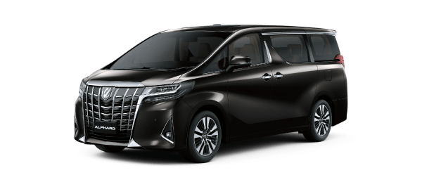 ALPHARD LUXURY - 